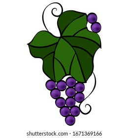 Hojas de uva y bayas en forma de doodle, ilustración vectorial simple, adorno de diseño, patrón lineal en colores brillantes, aislado en fondo blanco