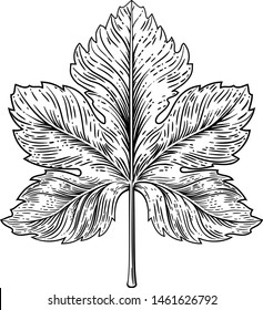 A grape leaf design element in a woodcut engraving style