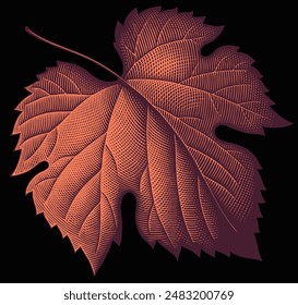 Grape Leaf. Editable hand drawn illustration. Vector vintage engraving. Isolated on black background. 8 EPS