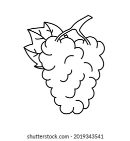 Uva con hoja. Esbozo de fruta. Icono de línea negra. Ilustración vectorial para libro de coloreado