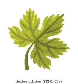 Hoja de uva de planta de uva usada en la cocina georgiana Vector Ilustración