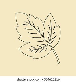 Grape leaf icon on the yellow background. Vector illustration