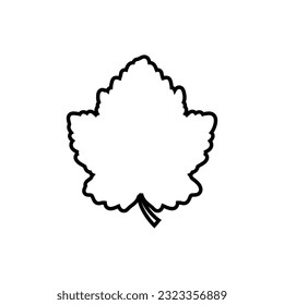 Grape leaf icon vector. Wine illustration sign. Wine shop symbol. Wine house logo.