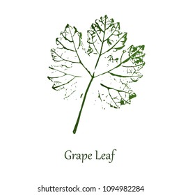 grape leaf imnprint