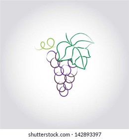 Grape with leaf, ink drawing, vector illustration