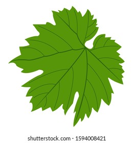 Grape leaf isolated on the white background. Vector illustration.
