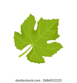 Grape leaf isolated on white background. Vector cartoon flat illustration.