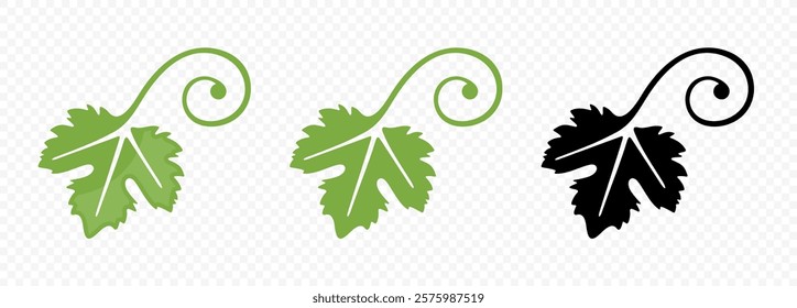 Grape leaf, leaves and vine shoots vector design