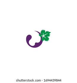 Grape with leaf logo icon template illustration