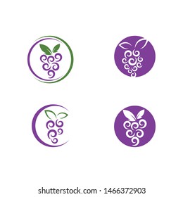 Grape with leaf logo vector template