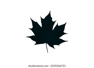 Grape leaf silhouette vector art leave. Grapes vine decorative pattern.
