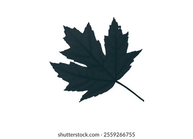 Grape leaf silhouette vector art leave. Grapes vine decorative pattern.