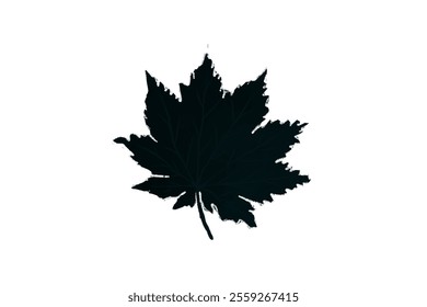 Grape leaf silhouette vector art leave. Grapes vine decorative pattern. grape leaves concept outline symbol 