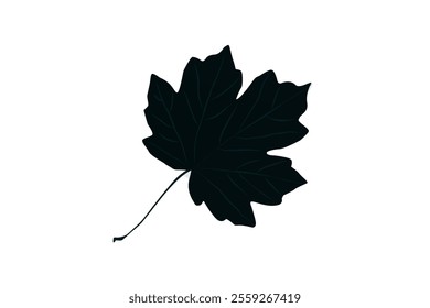 Grape leaf silhouette vector art leave. Grapes vine decorative pattern. grape leaves concept outline symbol 