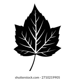 Hoja de uva silueta hoja de Arte vectorial