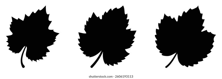 Grape Leaf Silhouette Vector - Black Solid Design