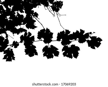 grape leaf silhouette vector. See similar pictures in my portfolio.