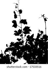 Grape leaf silhouette vector. See similar pictures in my portfolio.