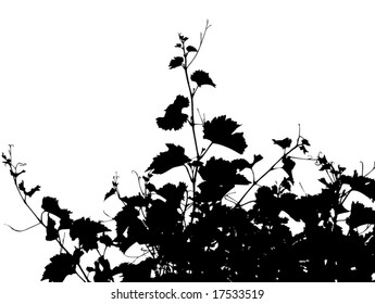 Grape leaf silhouette vector. See similar pictures in my portfolio.