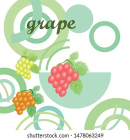Grape with leaf. Vector elements for design