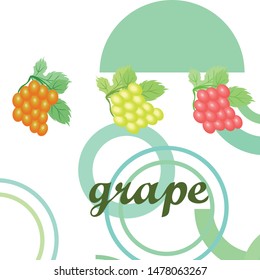 Grape with leaf. Vector elements for design
