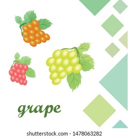 Grape with leaf. Vector elements for design