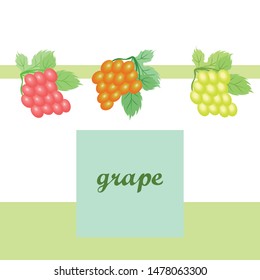 Grape with leaf. Vector elements for design