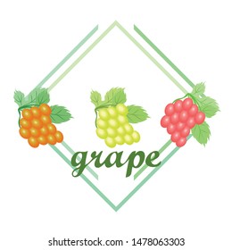 Grape with leaf. Vector elements for design