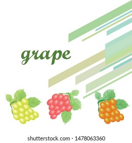 Grape with leaf. Vector elements for design