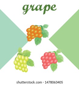 Grape with leaf. Vector elements for design