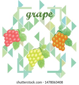 Grape with leaf. Vector elements for design