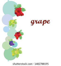 Grape with leaf. Vector elements for design