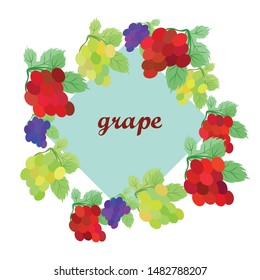 Grape with leaf. Vector elements for design