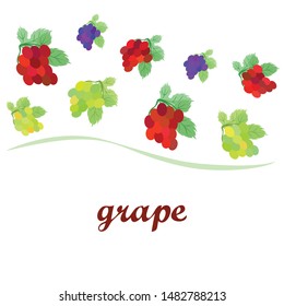 Grape with leaf. Vector elements for design