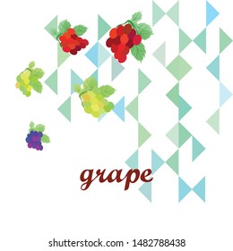 Grape with leaf. Vector elements for design