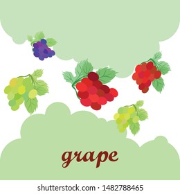 Grape with leaf. Vector elements for design