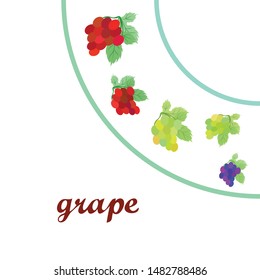 Grape with leaf. Vector elements for design