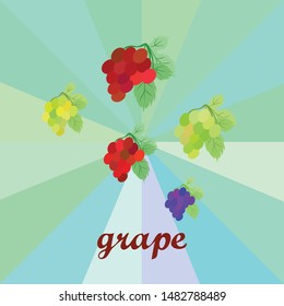 Grape with leaf. Vector elements for design