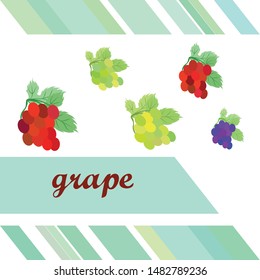 Grape with leaf. Vector elements for design