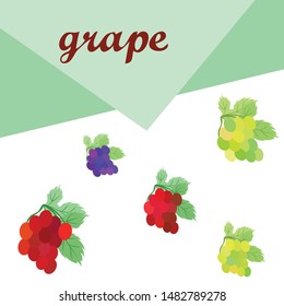 Grape with leaf. Vector elements for design