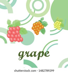 Grape with leaf. Vector elements for design