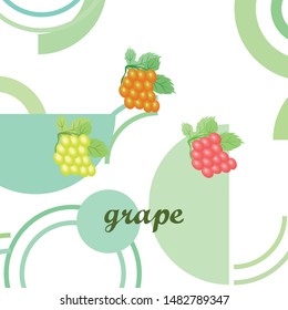 Grape with leaf. Vector elements for design