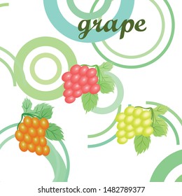 Grape with leaf. Vector elements for design