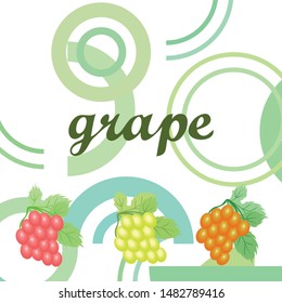 Grape with leaf. Vector elements for design