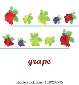 Grape with leaf. Vector elements for design