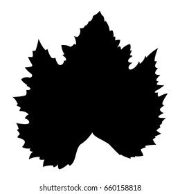 Grape leaf, vector icon. Isolated on white background.