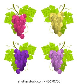 Grape and Leaf vector illustrations for the menu template.