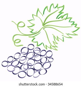 grape with leaf vector sketch image