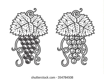 Grape with leaf. Vector wine design elements. Retro style vector illustration.