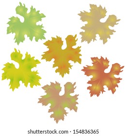 Grape leaf,autumn leaf vector
